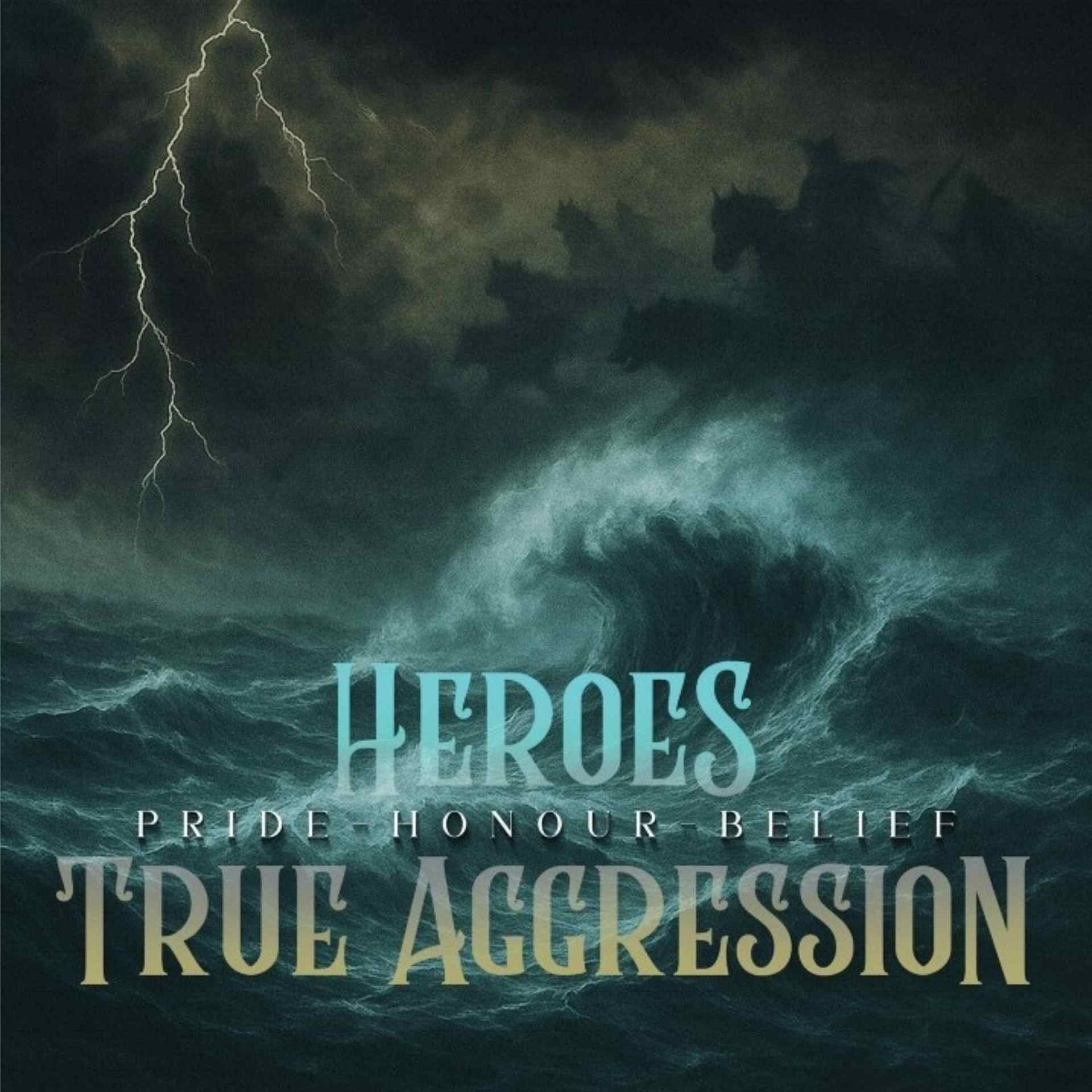 Heroes / True Aggression - Pride, Honour, Belief Split CD