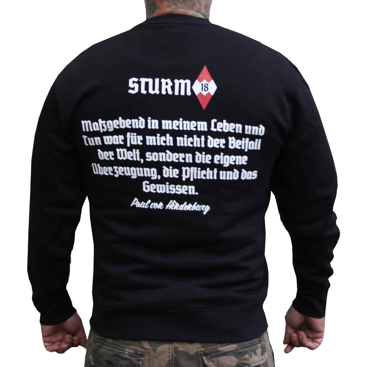 s18_pull_steh2